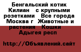 Бенгальский котик Килиан , с крупными розетками - Все города, Москва г. Животные и растения » Кошки   . Адыгея респ.